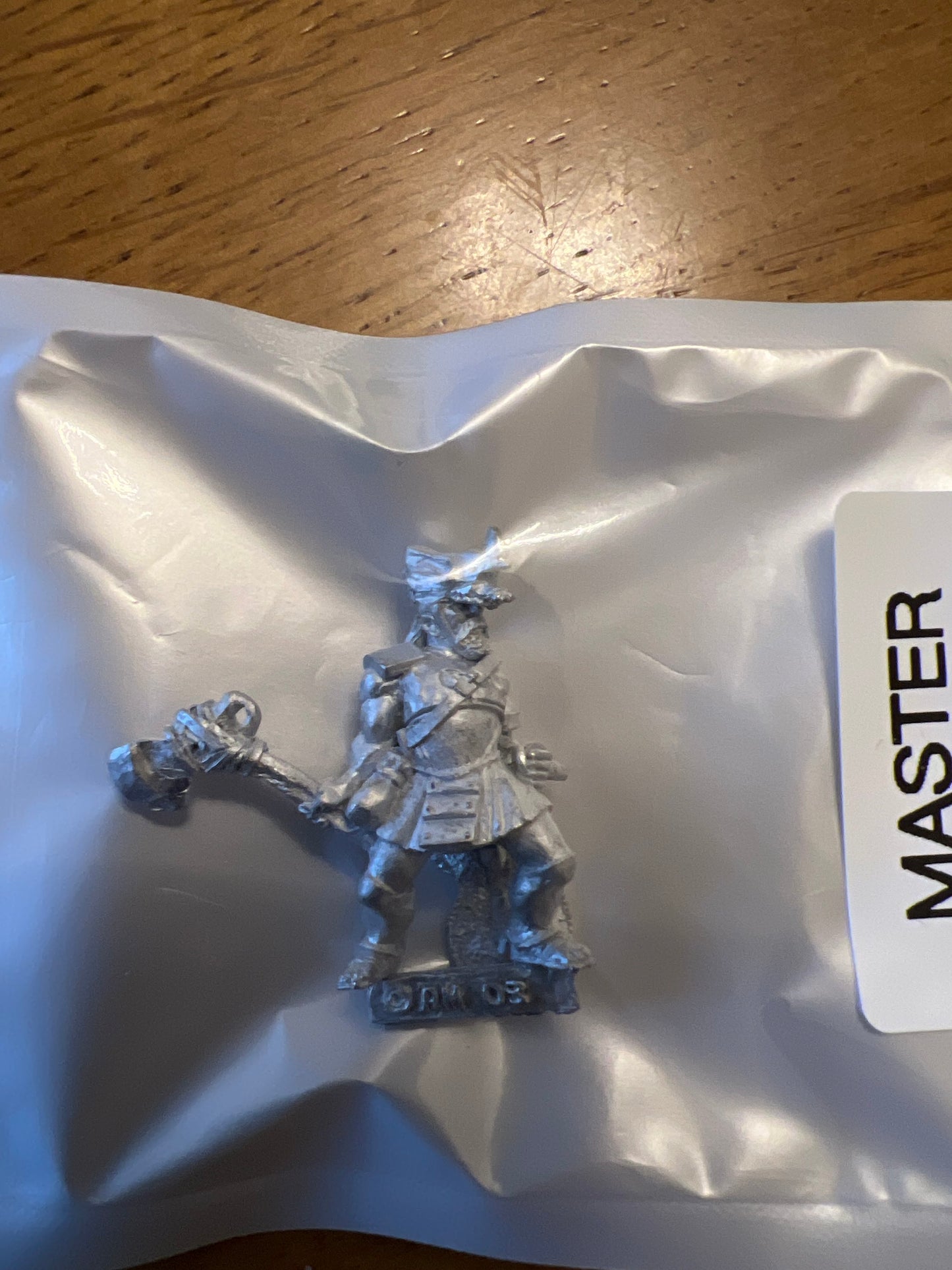 TW-TM8003 28MM Fantasy Figure with Shield image 0