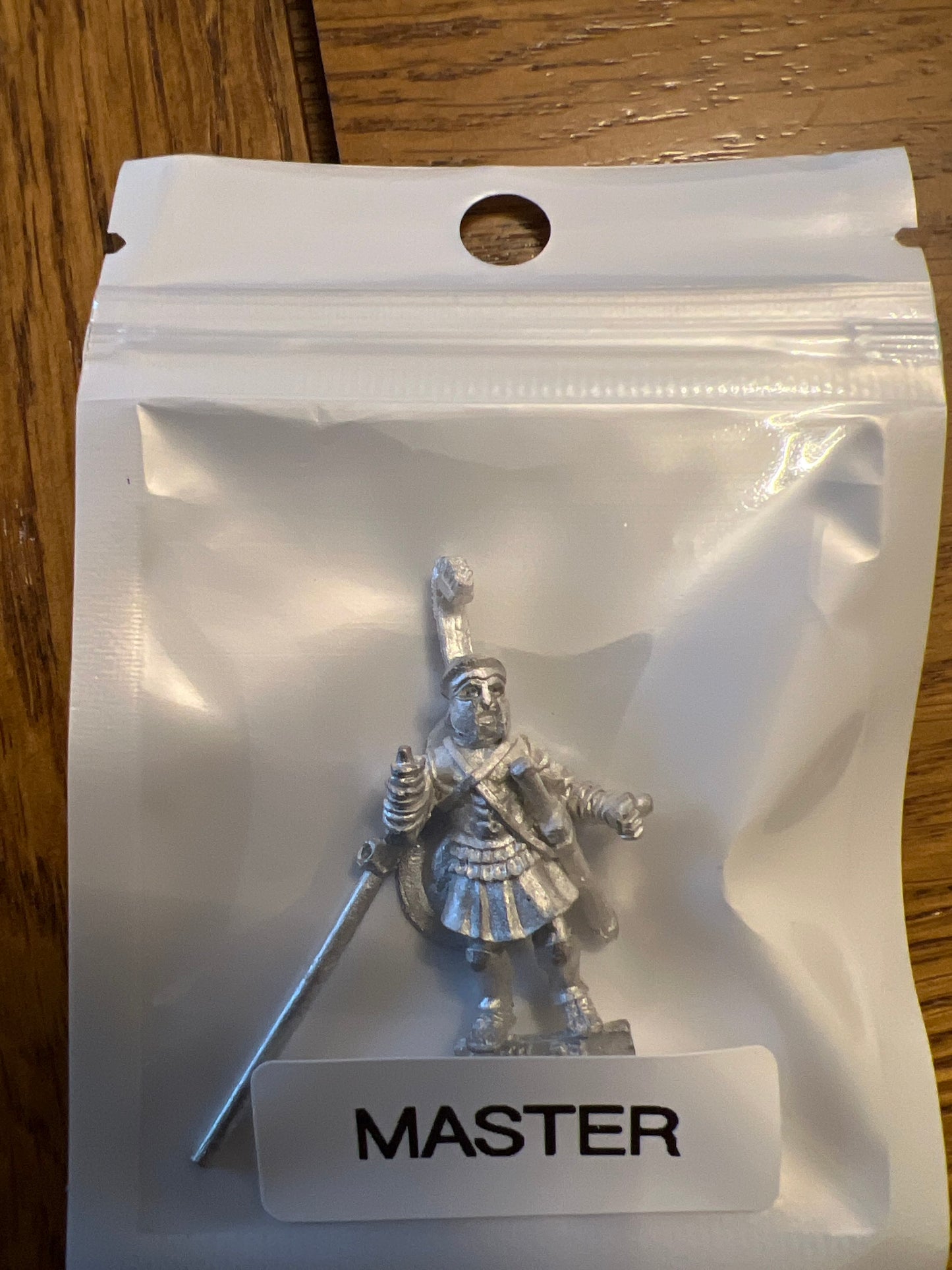 TW-TM8011 28MM Fantasy Figure with Spear/Shield image 0