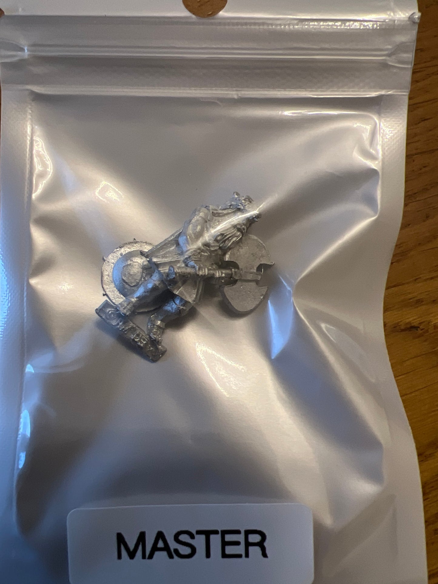 TW-TM8004 28MM Fantasy Figure with Shield image 0