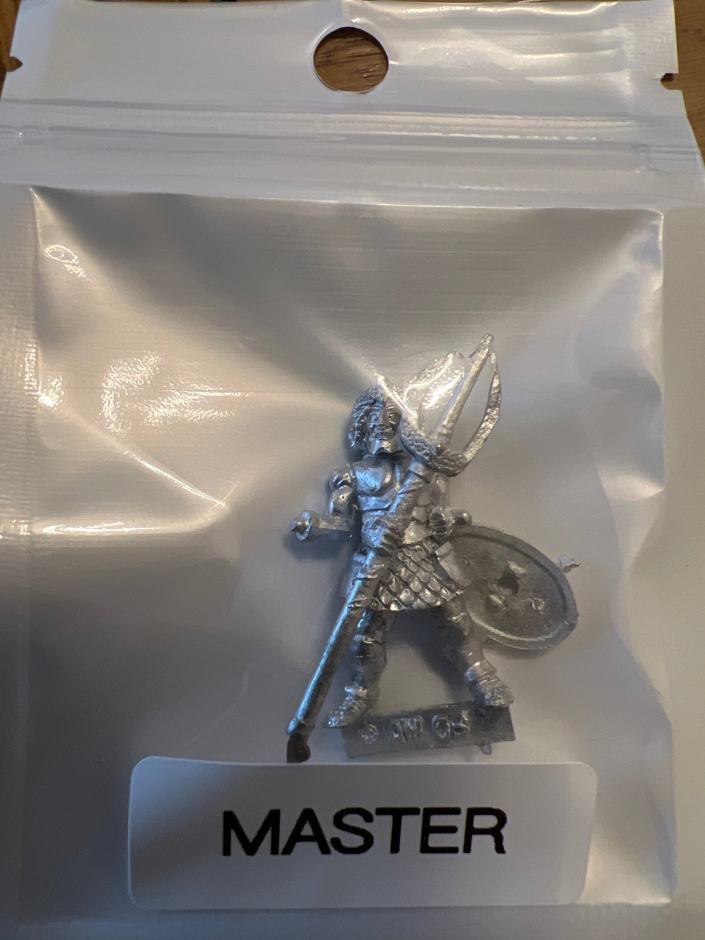 TW-TM8006 28MM Fantasy Figure with Shield/Trident image 0