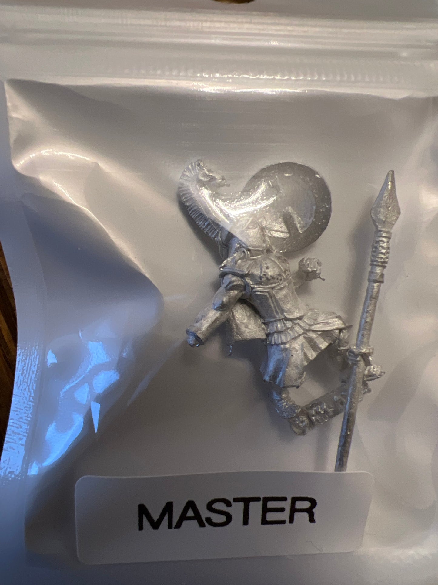 TW-TM8015 28MM Fantasy Figure with Shield image 0