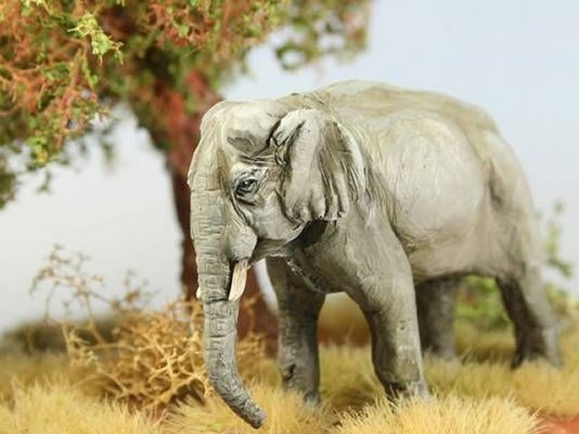 TW-TM001 28mm Asian Elephant 1 image 0