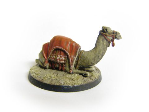 TW-TM006 28mm Camel Sitting image 0