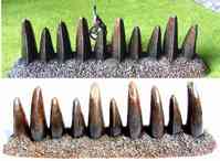 TW-H024 DETAILED DRAGON TEETH STOCKADE SECTIONS image 0