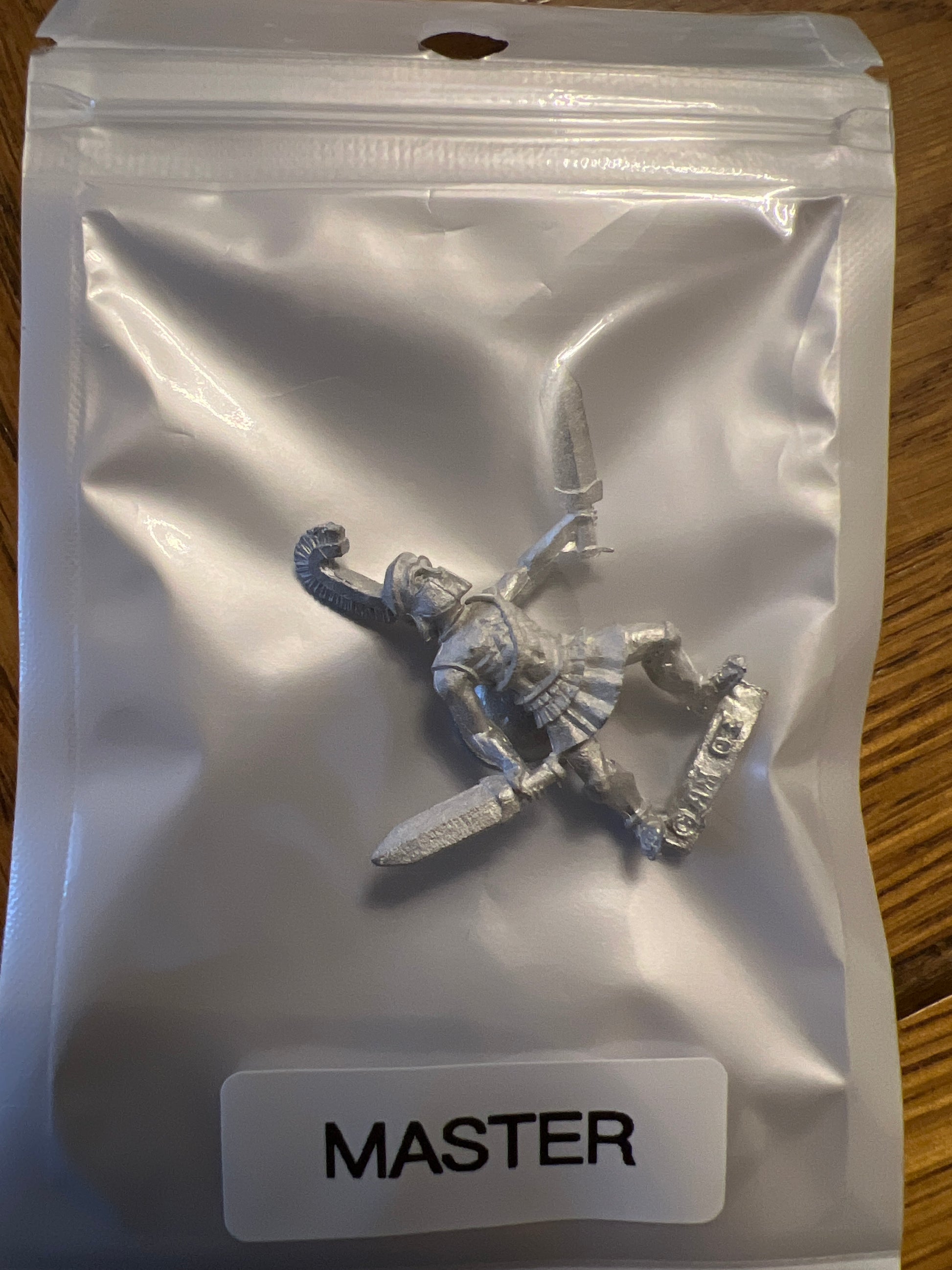 TW-TM8014 28MM Fantasy Figure with Shield image 0