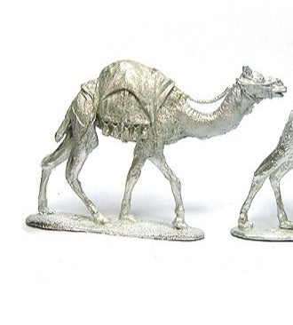 TW-TM004 28mm Camel Walking 1 image 0