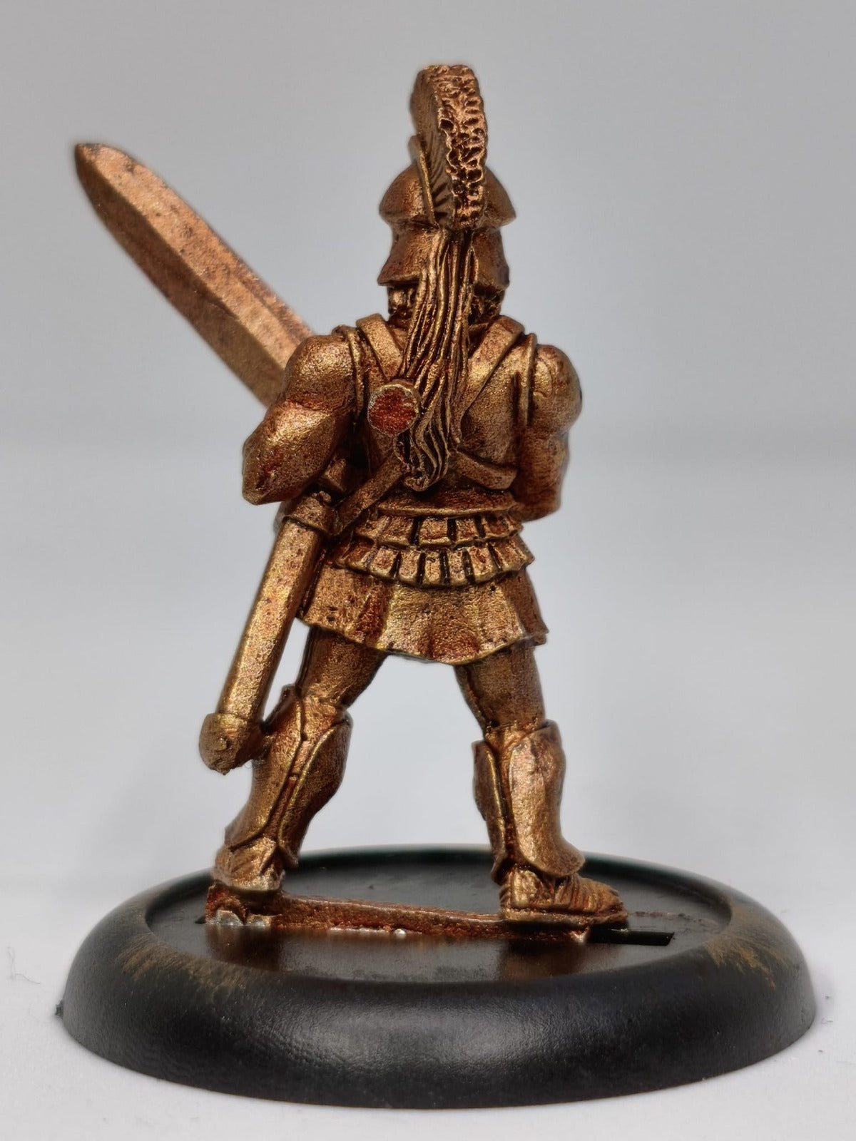 TW-TM8012 28MM Fantasy Figure with Shield