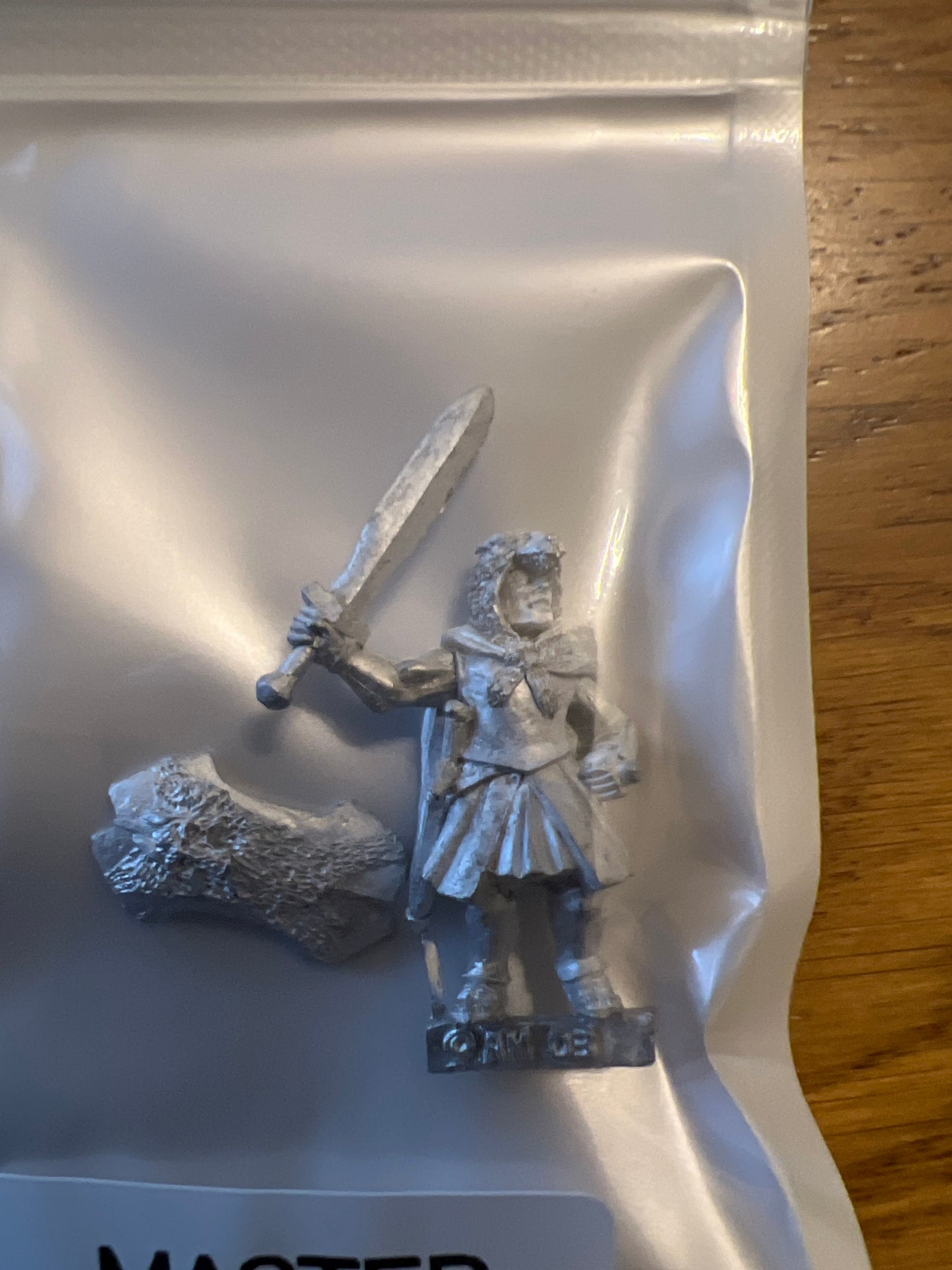 TW-TM8005 28MM Fantasy Figure with Shield image 0