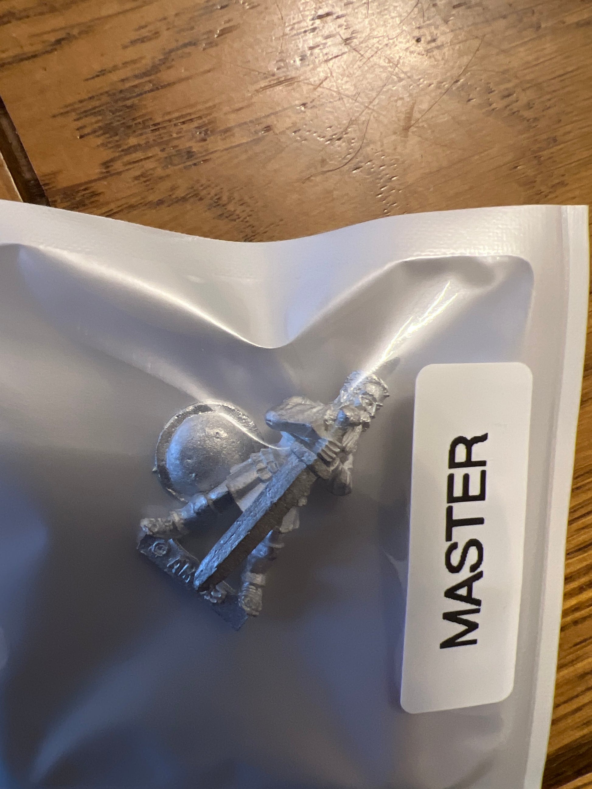 TW-TM8013 28MM Fantasy Figure with Shield image 0