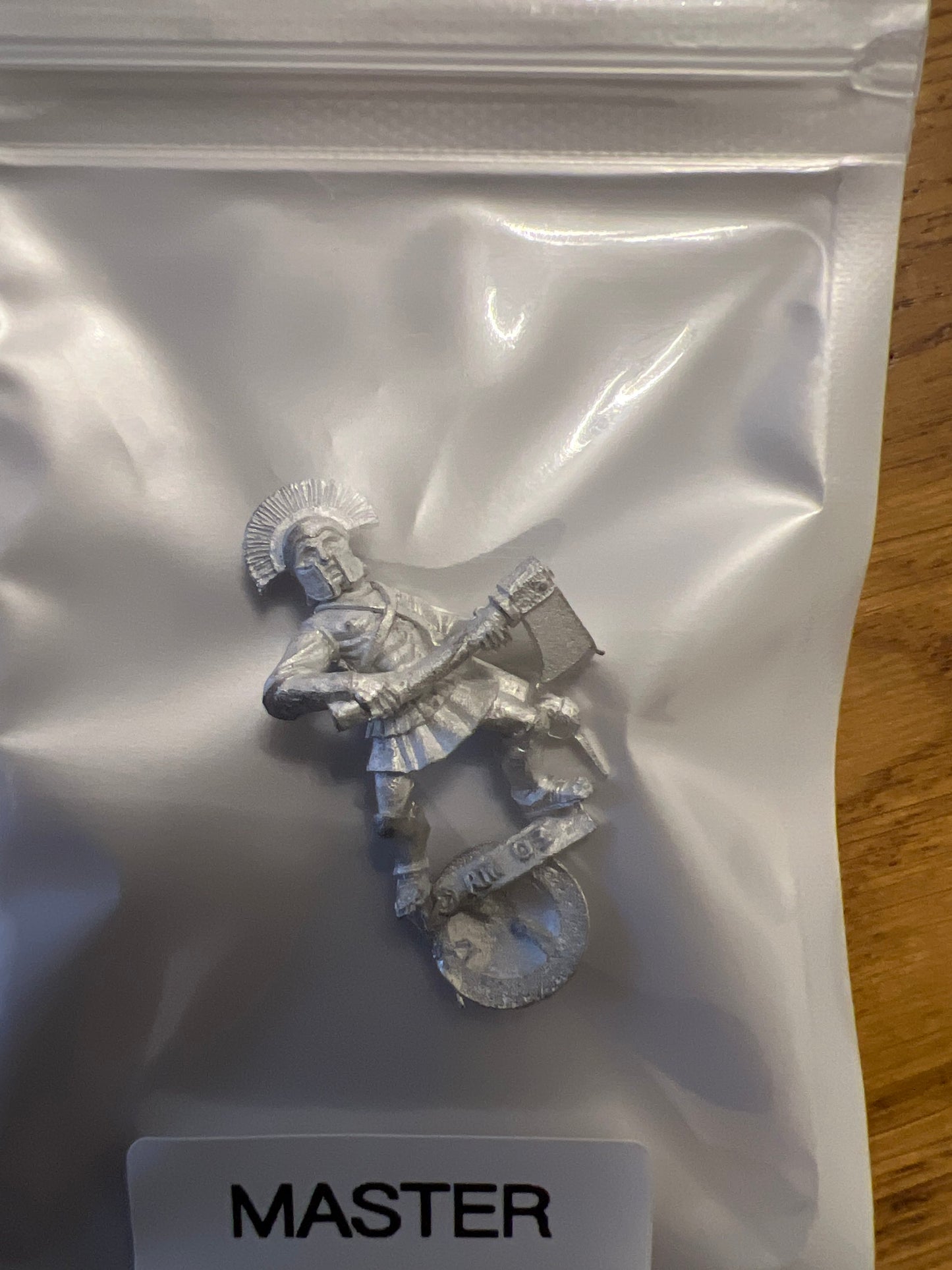 TW-TM8016 28MM Fantasy Figure with Shield image 0