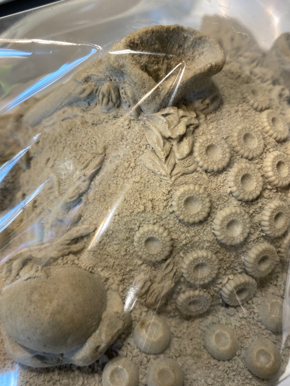 TM-SF-002  DETAILED SPORE POD image 1