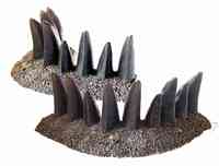 TW-H025 DETAILED DRAGON TEETH STOCKADE CORNER SECTIONS image 0