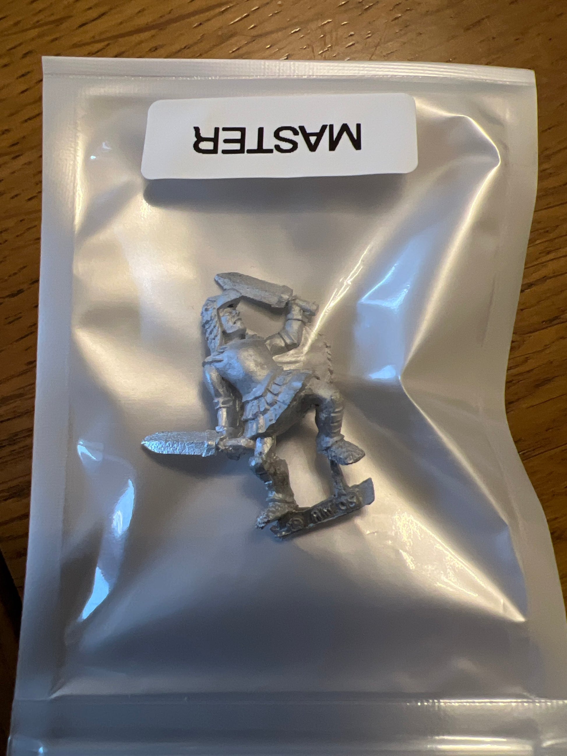 TW-TM8002 28MM Fantasy Figure with two hand weapons image 0