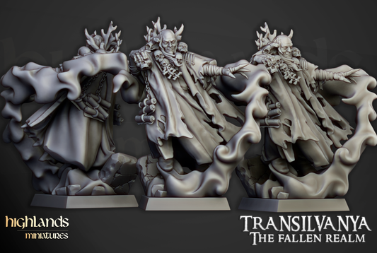HM Undead Necromancer, Foot or Mounted 9th Age image 0